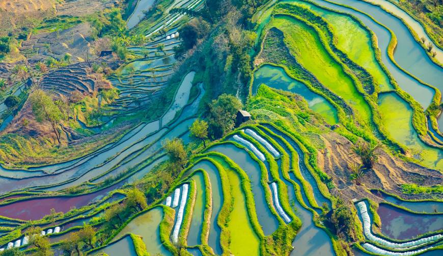 宝妈必备神器：东丰县产品视频拍摄轻松育儿好帮手