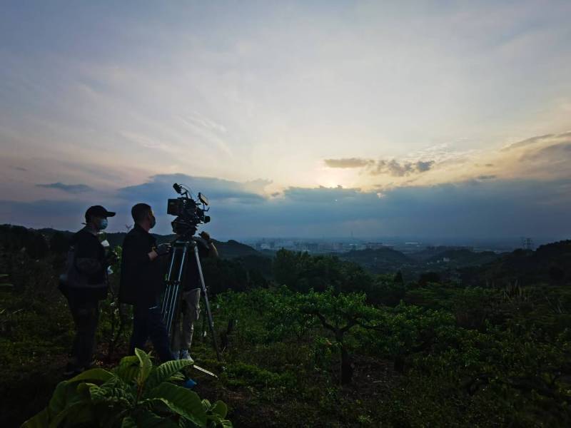 聚焦东丰县产品宣传视频拍摄公司，用专业实力铸就品牌传播传奇