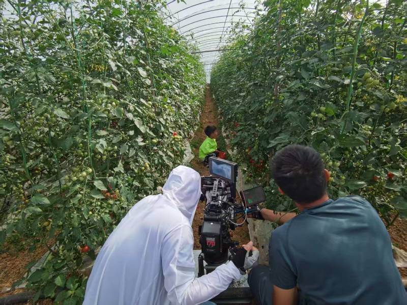 东丰县产品宣传视频拍摄公司进阶指南，助力品牌抢占传播高地